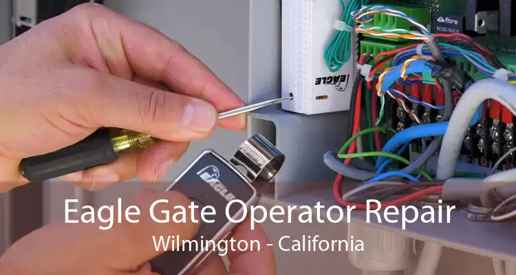 Eagle Gate Operator Repair Wilmington - California