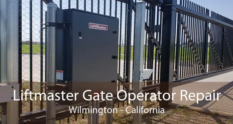 Liftmaster Gate Operator Repair Wilmington - California